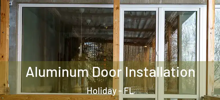 Aluminum Door Installation Holiday - FL