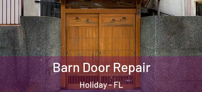 Barn Door Repair Holiday - FL