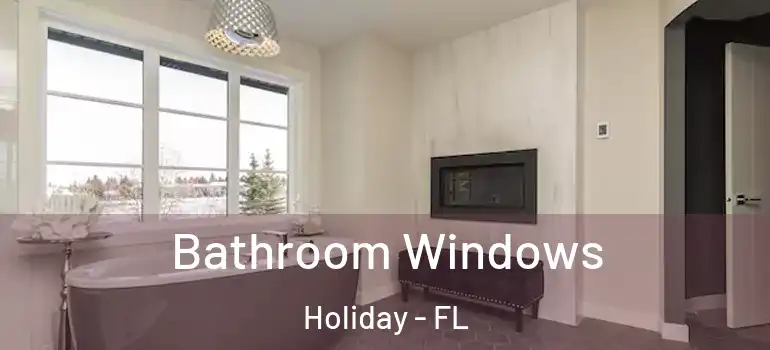 Bathroom Windows Holiday - FL