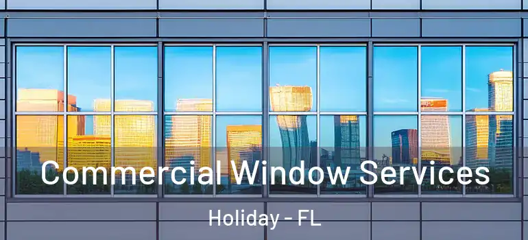 Commercial Window Services Holiday - FL