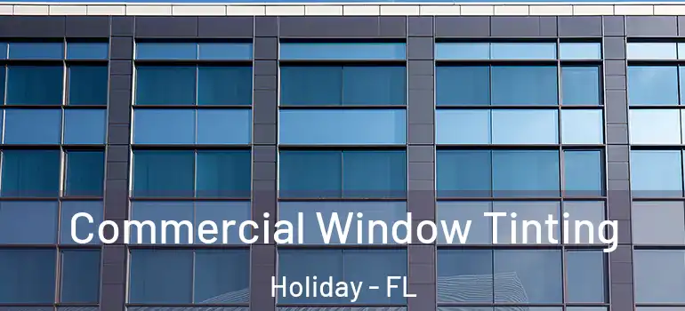 Commercial Window Tinting Holiday - FL