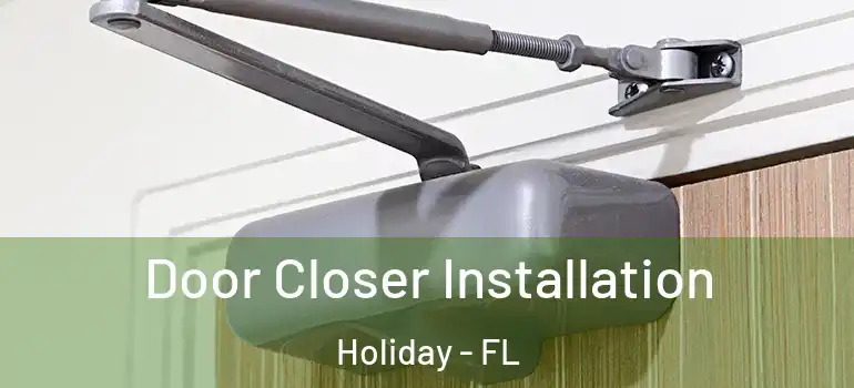 Door Closer Installation Holiday - FL