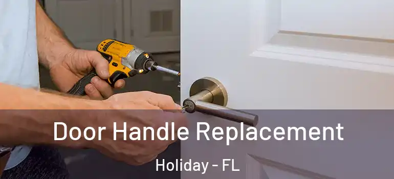 Door Handle Replacement Holiday - FL