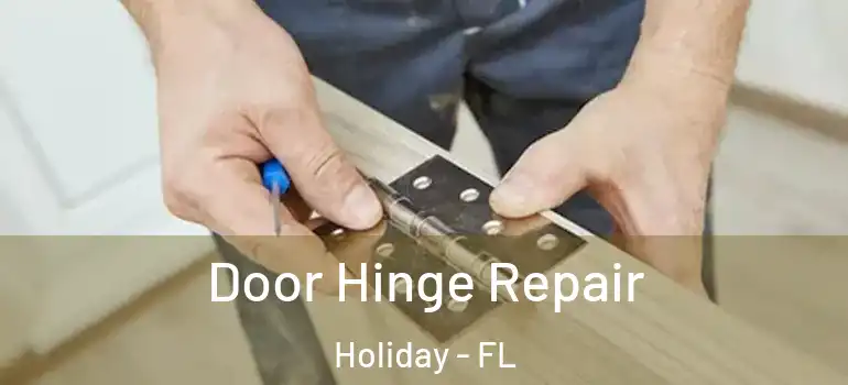 Door Hinge Repair Holiday - FL