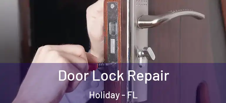 Door Lock Repair Holiday - FL