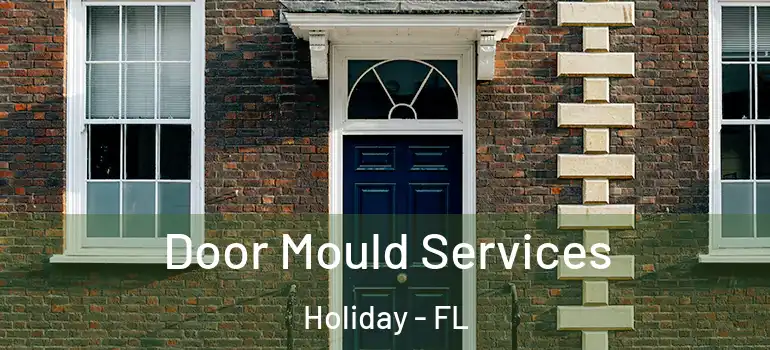 Door Mould Services Holiday - FL