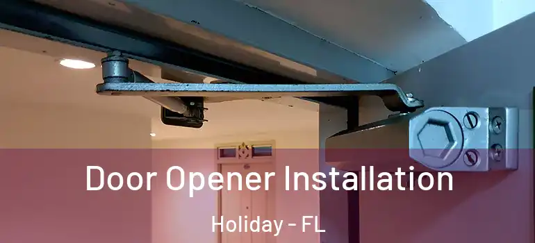 Door Opener Installation Holiday - FL