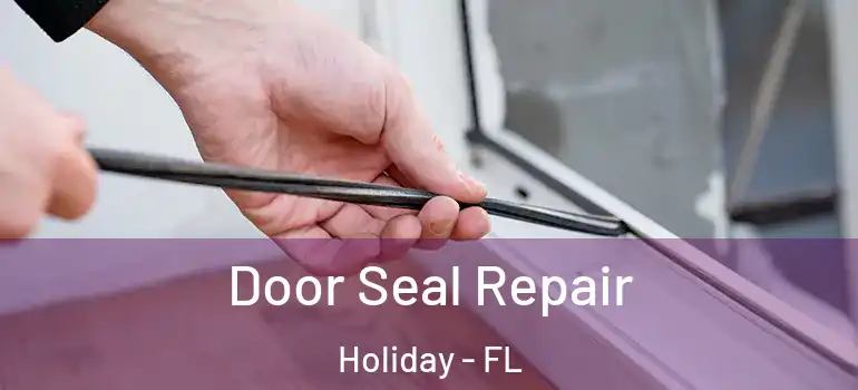 Door Seal Repair Holiday - FL