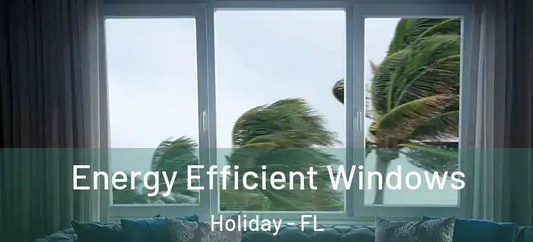 Energy Efficient Windows Holiday - FL
