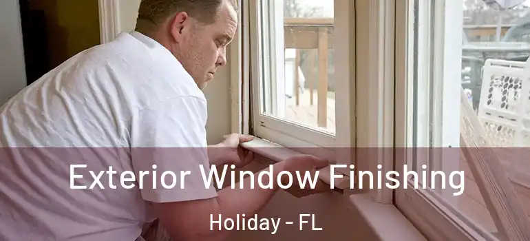 Exterior Window Finishing Holiday - FL