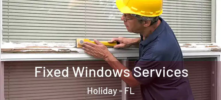 Fixed Windows Services Holiday - FL
