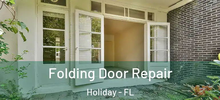 Folding Door Repair Holiday - FL