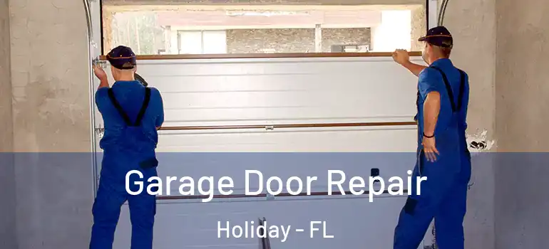 Garage Door Repair Holiday - FL