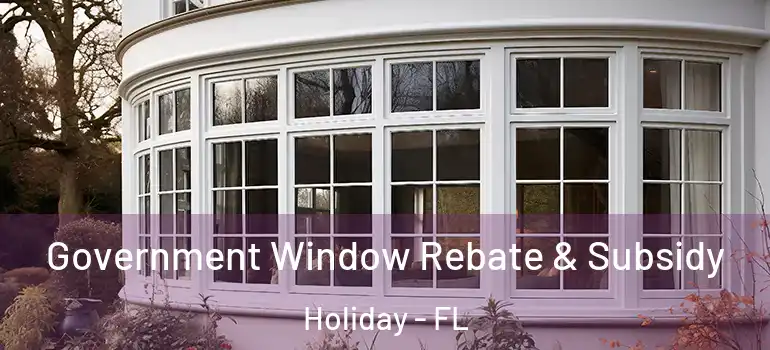  Government Window Rebate & Subsidy Holiday - FL