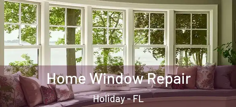 Home Window Repair Holiday - FL