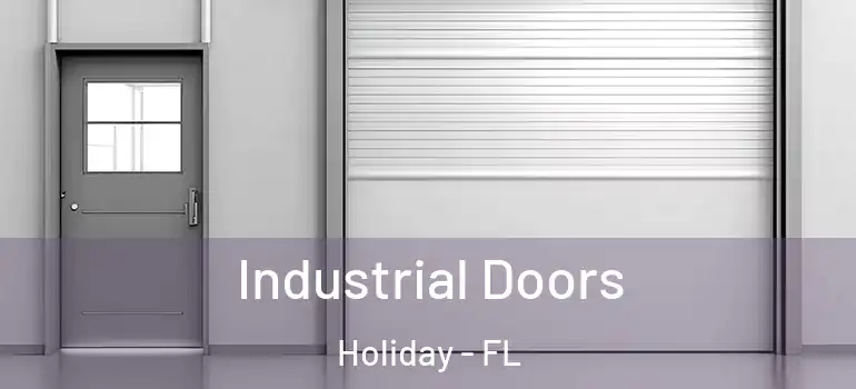 Industrial Doors Holiday - FL