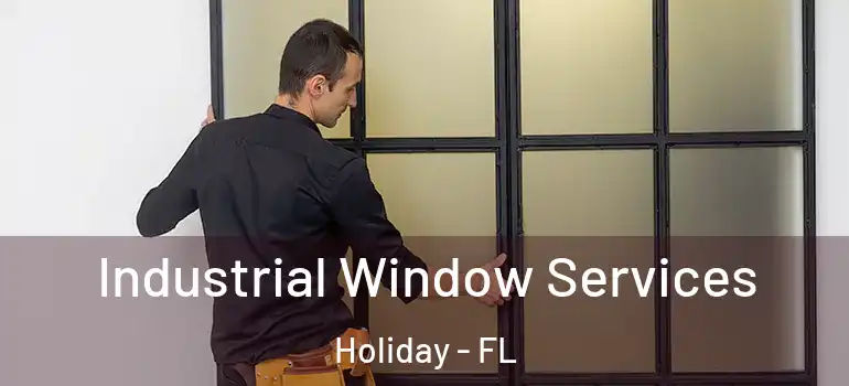 Industrial Window Services Holiday - FL