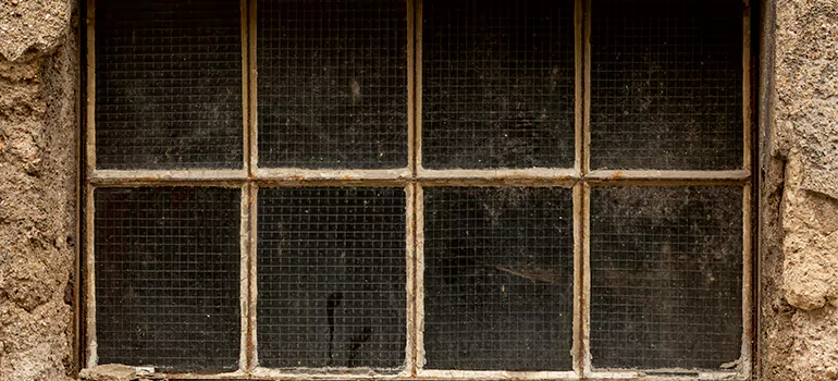 Traditional Double Front Doors in Holiday, FL