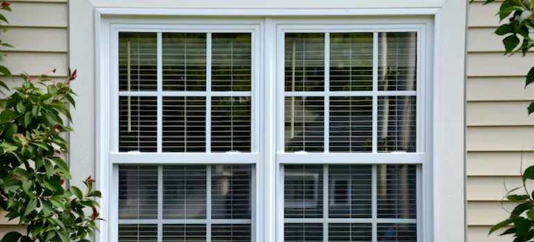 Custom Double Hung Windows in Holiday, FL