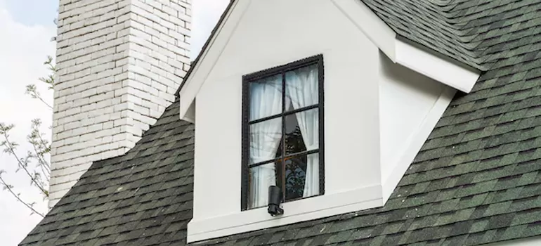 Roof Window Repair in Holiday, FL
