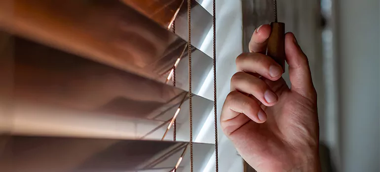 Double Roller Blinds in Holiday, FL