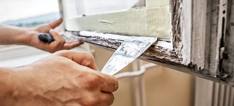 Exterior Window Frame Repair in Holiday, FL