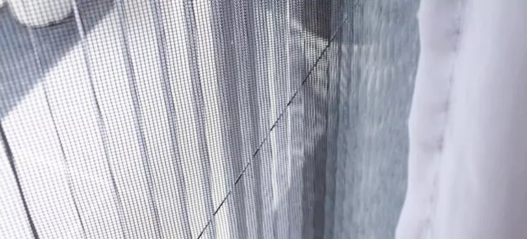 Fixing Screen Window Mesh in Holiday, FL