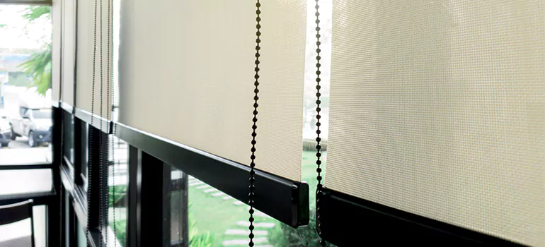 Blackout Window Shades in Holiday, FL