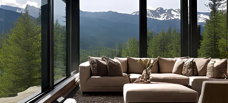 Picture Window Maintenance in Holiday, FL