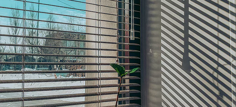Commercial Window Blinds in Holiday, FL
