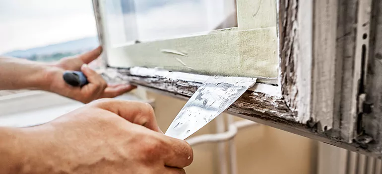 Custom Window Insulation Solutions in Holiday, FL