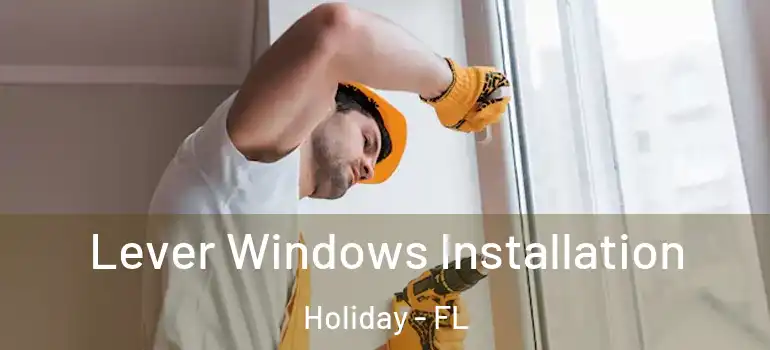Lever Windows Installation Holiday - FL