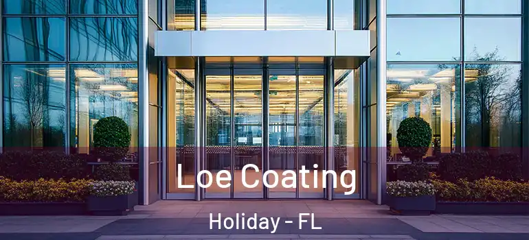 Loe Coating Holiday - FL