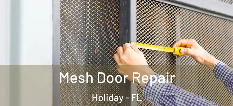 Mesh Door Repair Holiday - FL