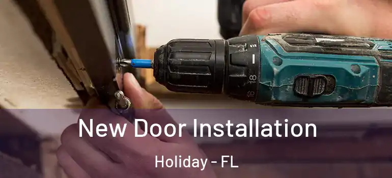New Door Installation Holiday - FL