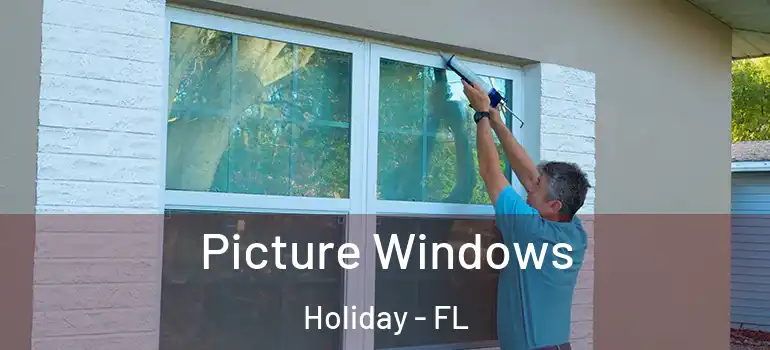 Picture Windows Holiday - FL