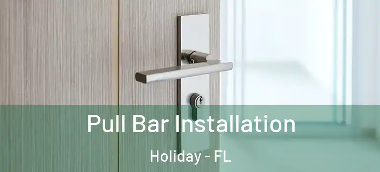 Pull Bar Installation Holiday - FL