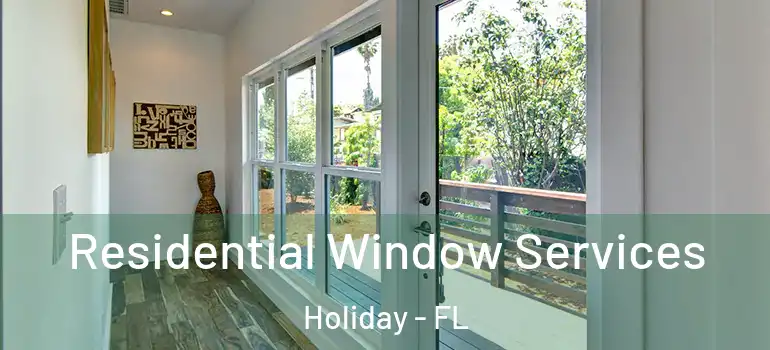 Residential Window Services Holiday - FL