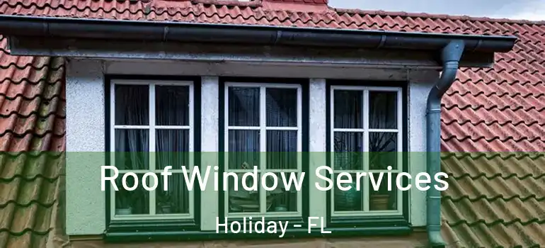 Roof Window Services Holiday - FL