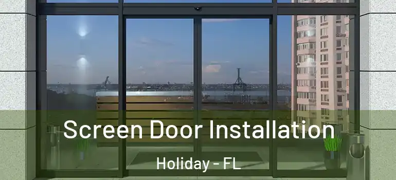 Screen Door Installation Holiday - FL