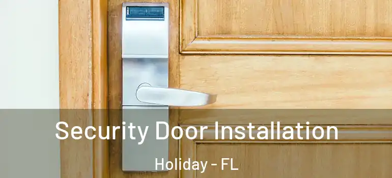 Security Door Installation Holiday - FL