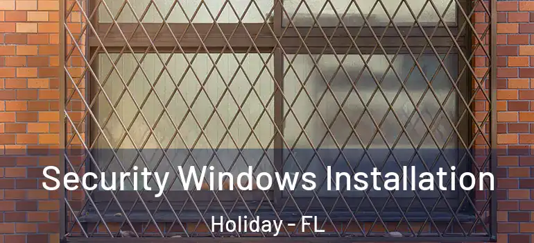 Security Windows Installation Holiday - FL