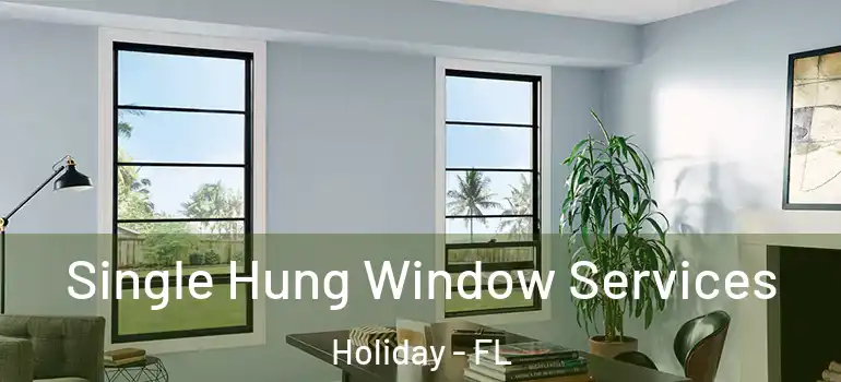 Single Hung Window Services Holiday - FL