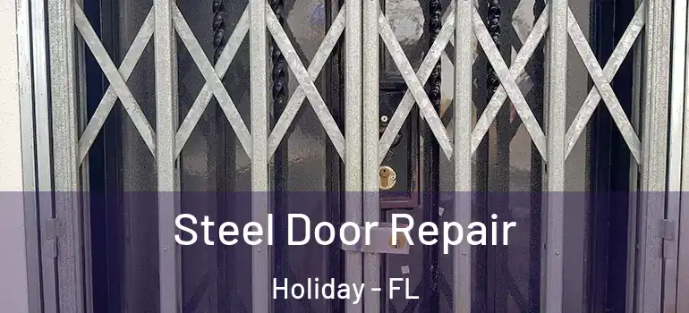 Steel Door Repair Holiday - FL