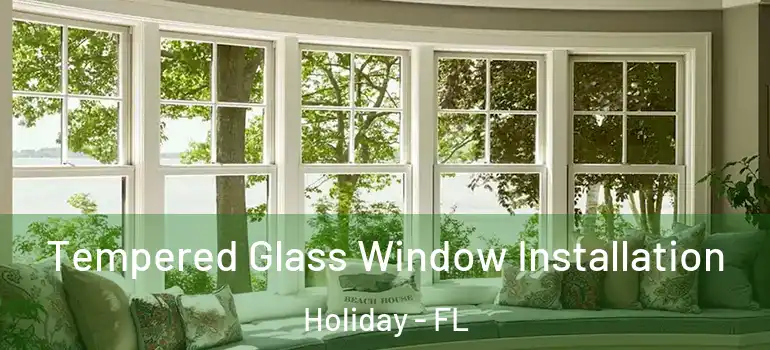 Tempered Glass Window Installation Holiday - FL