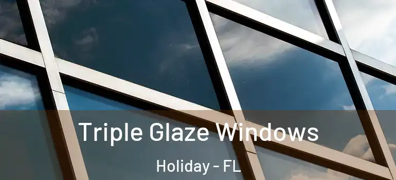 Triple Glaze Windows Holiday - FL