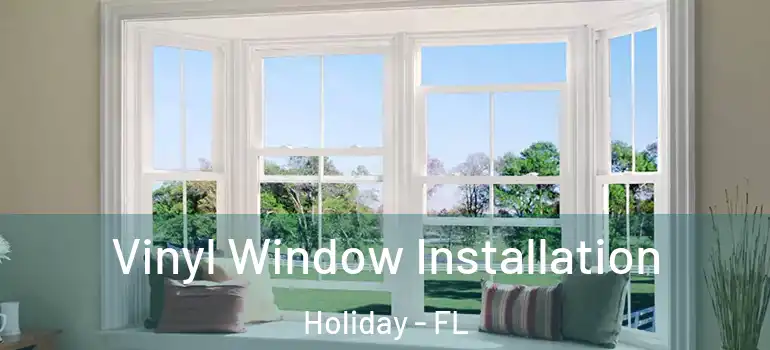 Vinyl Window Installation Holiday - FL
