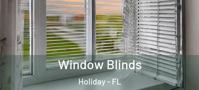 Window Blinds Holiday - FL