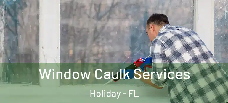 Window Caulk Services Holiday - FL