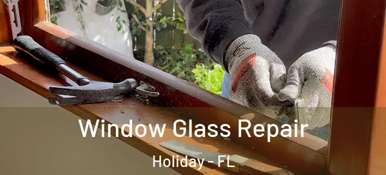 Window Glass Repair Holiday - FL